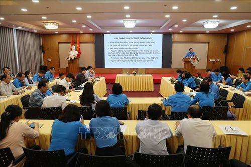 Xây dựng Luật Công đoàn (sửa đổi) đủ mạnh để bảo vệ người lao động