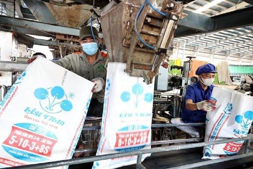 Nguồn cung dư thừa, DN phân bón tìm giải pháp gia tăng xuất khẩu