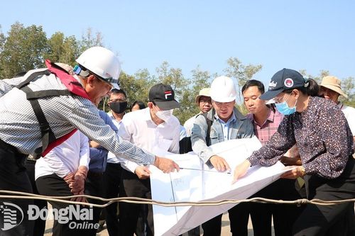 Khảo sát khu vực rừng phòng hộ sẽ chuyển mục đích sử dụng để xây cầu Phước An