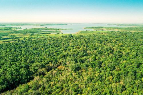 Đồng Nai sẽ tổ chức hội nghị chuyên đề về Net Zero