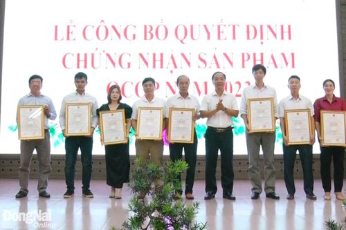 Khắp nơi trong tỉnh chiều 21-3-2024