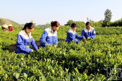 Định Hóa nỗ lực về đích nông thôn mới đúng hẹn