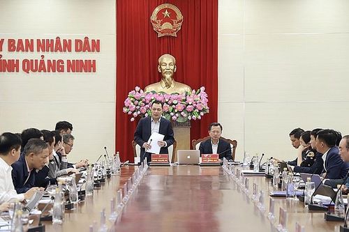 EVN: Khẩn trương tháo gỡ vướng mắc các công trình điện trên địa bàn tỉnh Quảng Ninh