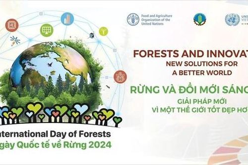 Ngày Quốc tế về Rừng 2024: Đổi mới để phát triển sử dụng rừng bền vững