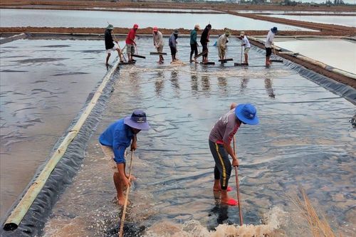 Diêm dân yên tâm sản xuất nhờ những sáng tạo trong làm muối