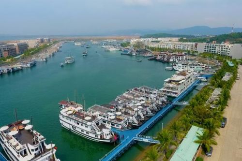 Quảng Ninh tạm dừng điều chỉnh giá dịch vụ qua các cảng tàu khách quốc tế