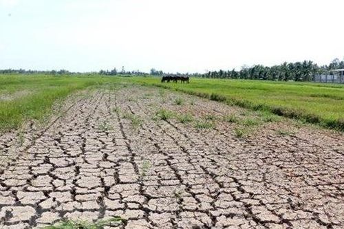 Công bố Quy hoạch phòng, chống thiên tai thích ứng với biến đổi khí hậu
