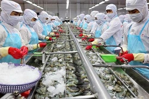 Cà Mau: Một doanh nghiệp thủy sản liên tục báo lỗ, nợ BIDV hàng trăm tỷ đồng, bị Chi Cục Thi hành án thu hồi tài sản