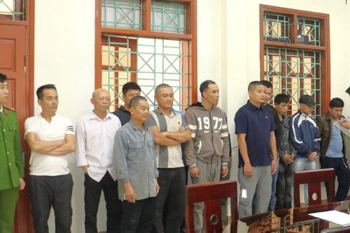 Công an đột kích sới bạc trong rừng, bắt giữ 11 'con bạc'