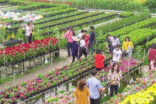 Sớm tháo gỡ rào cản để phát triển du lịch nông nghiệp