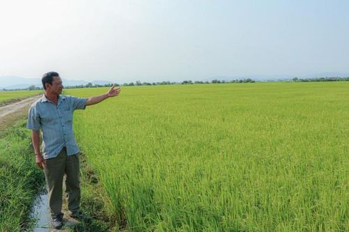 Kỳ lạ: Khu đất múc lên rồi lại tự đầy