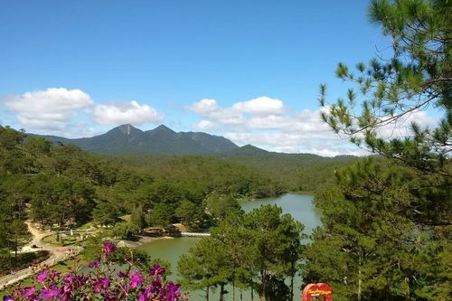 Đà Lạt, Đà Nẵng, Tam Đảo được chọn là điểm đến thanh bình
