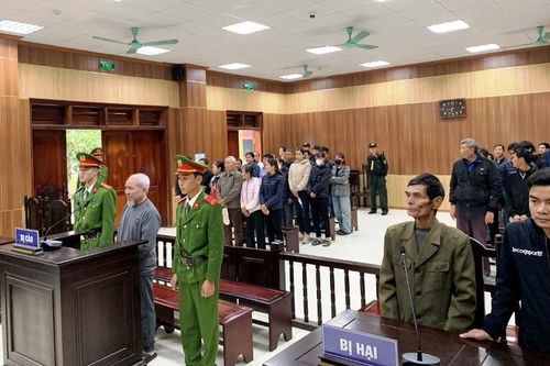 Lão nông ở Thanh Hóa bẫy chuột bằng điện gây chết người, lĩnh án hơn 7 năm tù