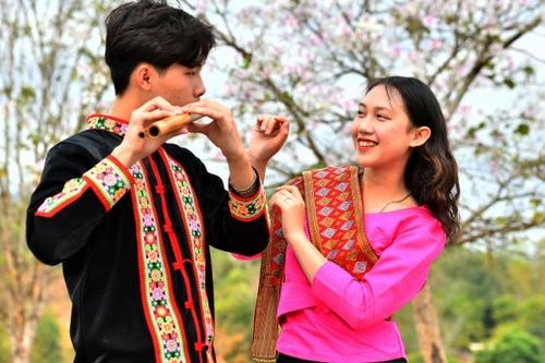Ghé thăm Điện Biên vào mùa hoa ban khoe sắc khắp núi rừng Tây Bắc