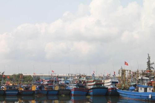 Nhiều tàu cá tại Quảng Nam, Quảng Ngãi phải 'nằm bờ' vì khó tìm lao động đi biển