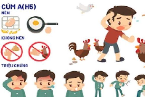 Nam sinh Trường Đại học Nha Trang dương tính với cúm A/H5, hơn 70 người trong diện cần theo dõi
