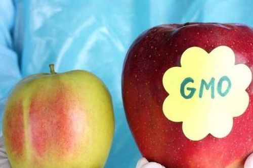Thực phẩm biến đổi gen có thực sự đáng sợ?