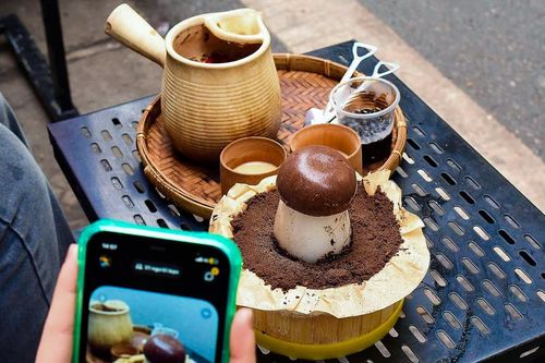 Cacao 'nấm mọc từ đất' hot rần rần ở Hà Nội, khách muốn ăn phải đợi vài giờ