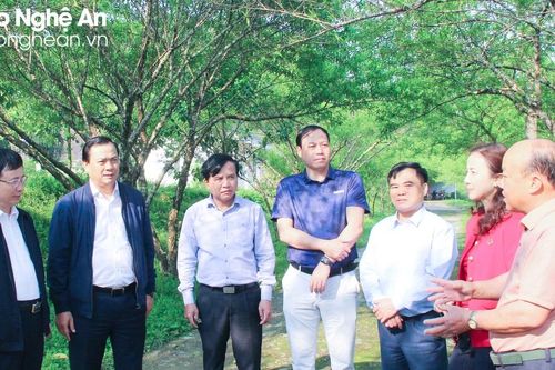 Tìm giải pháp để du lịch cộng đồng, du lịch miền Tây Nghệ An phát triển toàn diện, nhanh và bền vững