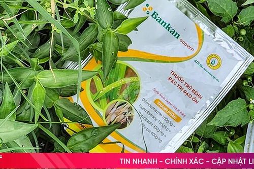 Những cánh đồng đầy rẫy vỏ thuốc bảo vệ thực vật!