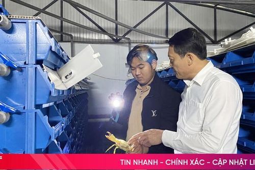'Cú hích' để hợp tác xã nâng tầm sản phẩm