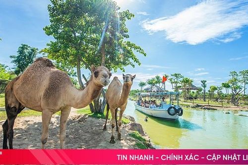 Hành trình cứu hộ hơn 1.500 động vật hoang dã của River Safari Nam Hội An