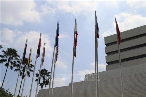 BCG: Kinh tế số của ASEAN phụ thuộc vấn đề nâng cao chất lượng nguồn nhân lực