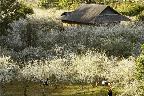 Xây dựng Điện Biên thành trung tâm du lịch của Tiểu vùng Tây Bắc - Bài 1: 'Kho báu' nơi đại ngàn
