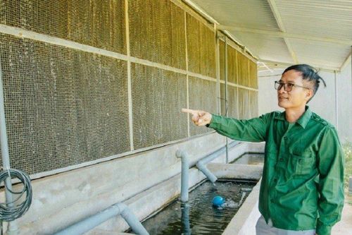 Anh nông dân thu lãi tiền tỷ mỗi năm nhờ nuôi vịt kiểu 'độc lạ'