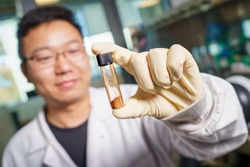 Phát hiện mới về pin hứa hẹn mở ra cuộc cách mạng cho ngành công nghiệp điện tử
