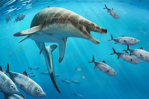Xuất hiện loài mới: Bò sát biển 'ác mộng' dài 8 m
