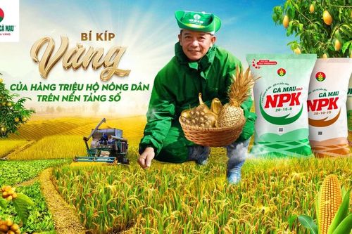 Bí Kíp Vàng của hàng triệu nông dân trong thời đại số