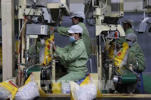 An Giang đặt mục tiêu đạt kim ngạch xuất khẩu gạo 330 triệu USD