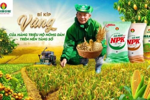 Bí kíp vàng của hàng triệu nông dân trong thời đại số