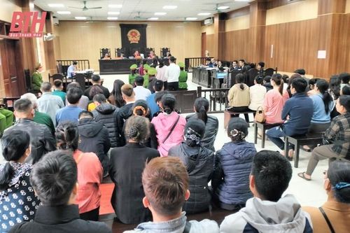 Bố mẹ lĩnh án chung thân, con gái 16 năm 6 tháng tù vì mua bán ma túy