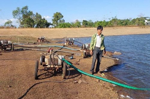 Ia Grai hỗ trợ nông dân phát triển kinh tế