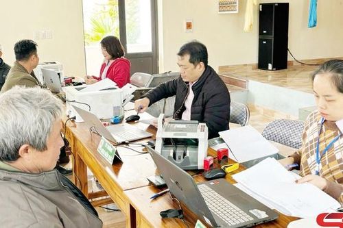 Củng cố, nâng cao chất lượng các tổ tiết kiệm và vay vốn