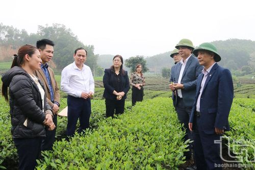 Hội viên Hội Nhà báo Thái Nguyên thực tế tại Đồng Hỷ