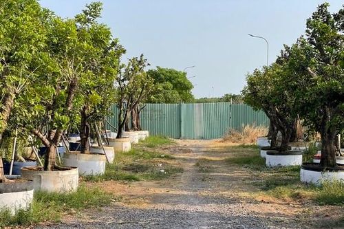 Đồng Nai: Dự án The Centre House được chấp thuận chủ trương gần 20 năm nhưng chưa thể về đích