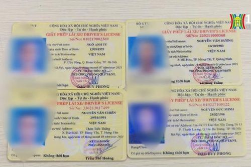 Kiên quyết xử lý hành vi sử dụng GPLX giả