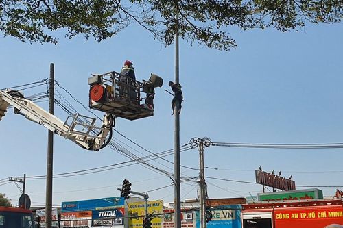 Cứu thanh niên nghi ngáo đá 'mắc kẹt' trên cột đèn ở TP.HCM