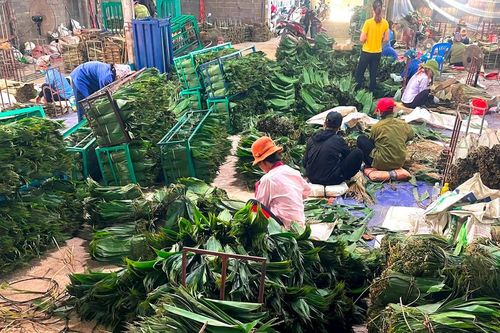 Giàu lên từ lá tre