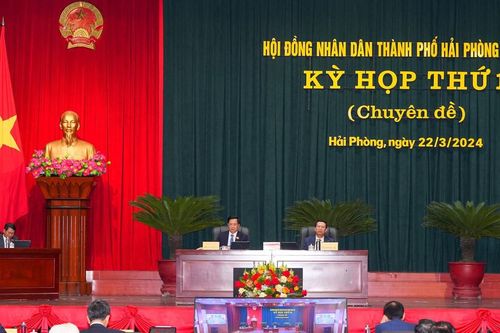 Hải Phòng được thưởng trên 920 tỷ đồng từ vượt thu hoạt động xuất nhập khẩu