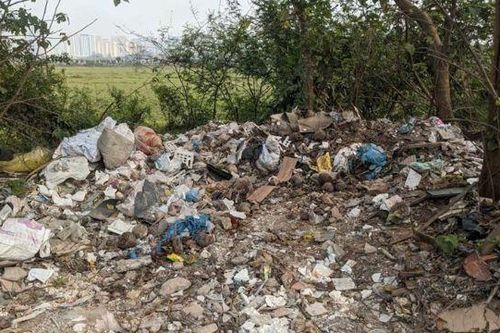 Rác thải tràn ngập phố Sa Đôi