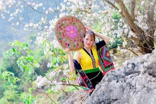 Rợp trời mùa hoa ban Tây Bắc