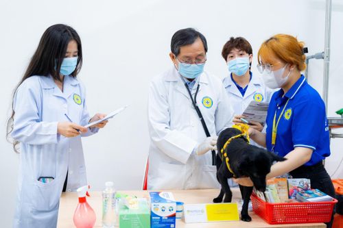 Học làm bác sĩ của thú cưng