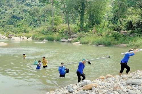 'Cõng' điện lên non