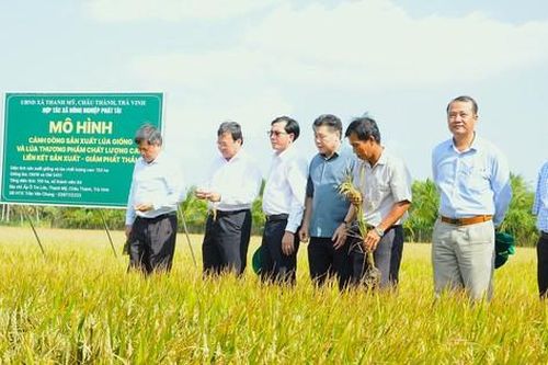 Chuỗi giá trị nông sản Đồng bằng sông Cửu Long còn lỏng lẻo
