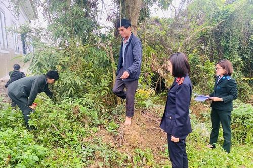 Kiểm sát việc giao tài sản là quyền sử dụng đất cho người được thi hành án