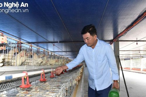 Cán bộ mặt trận ở Nghi Lộc năng động phát triển kinh tế